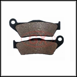 FZ16 Brake Pad